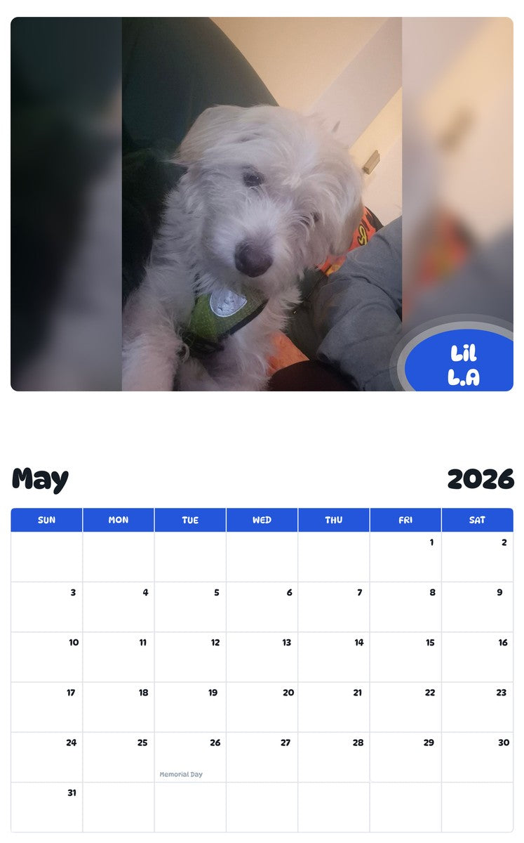 2026 - 2027 Lil L.A - Pawidols Pet Calendar