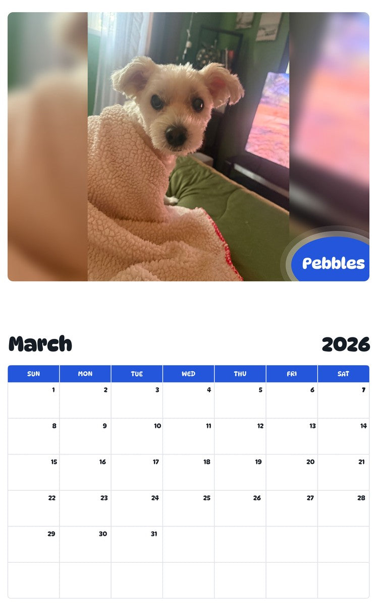 November 2025 - October 2026 Pebbles - Pawidols Pet Calendar