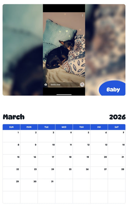 November 2025 - October 2026 Baby - Pawidols Pet Calendar