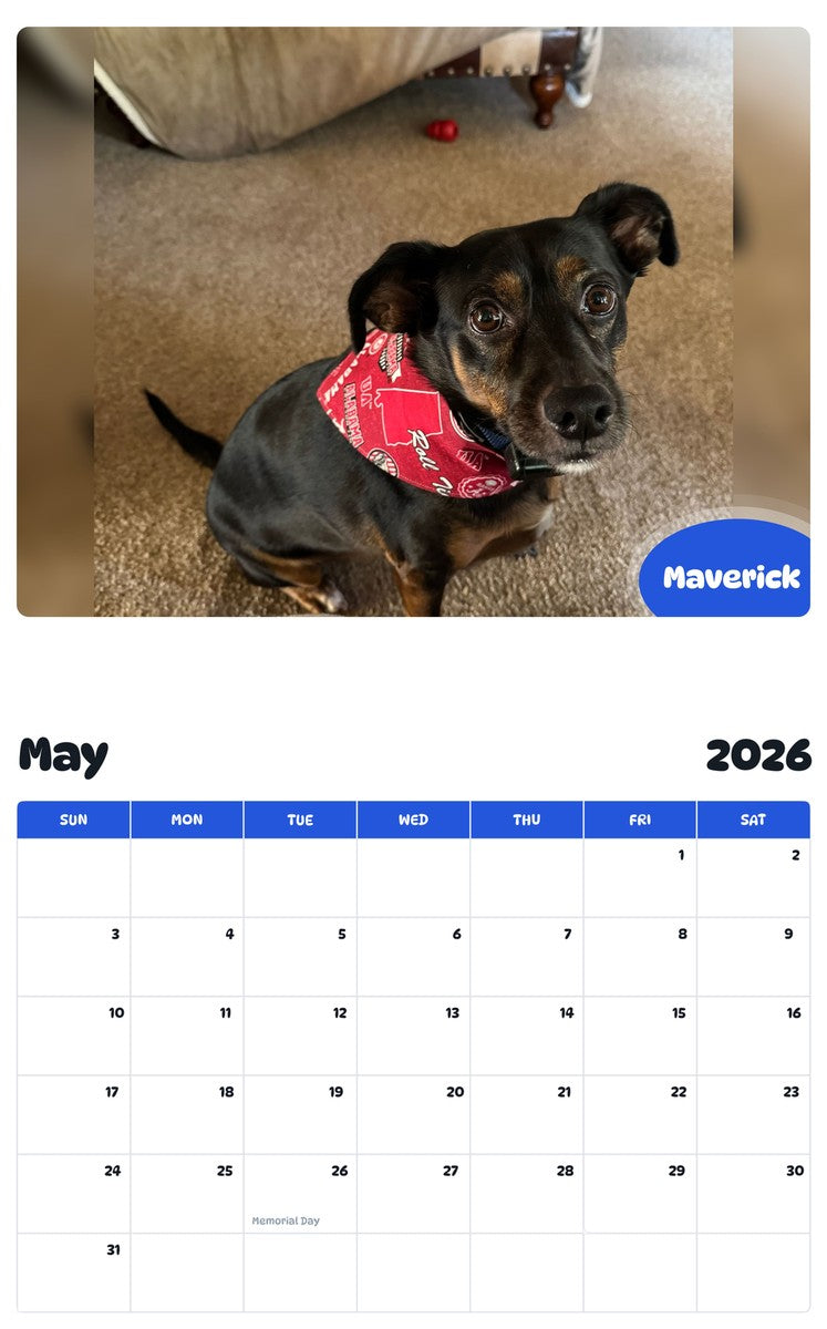 2026 - 2027 Maverick - Pawidols Pet Calendar