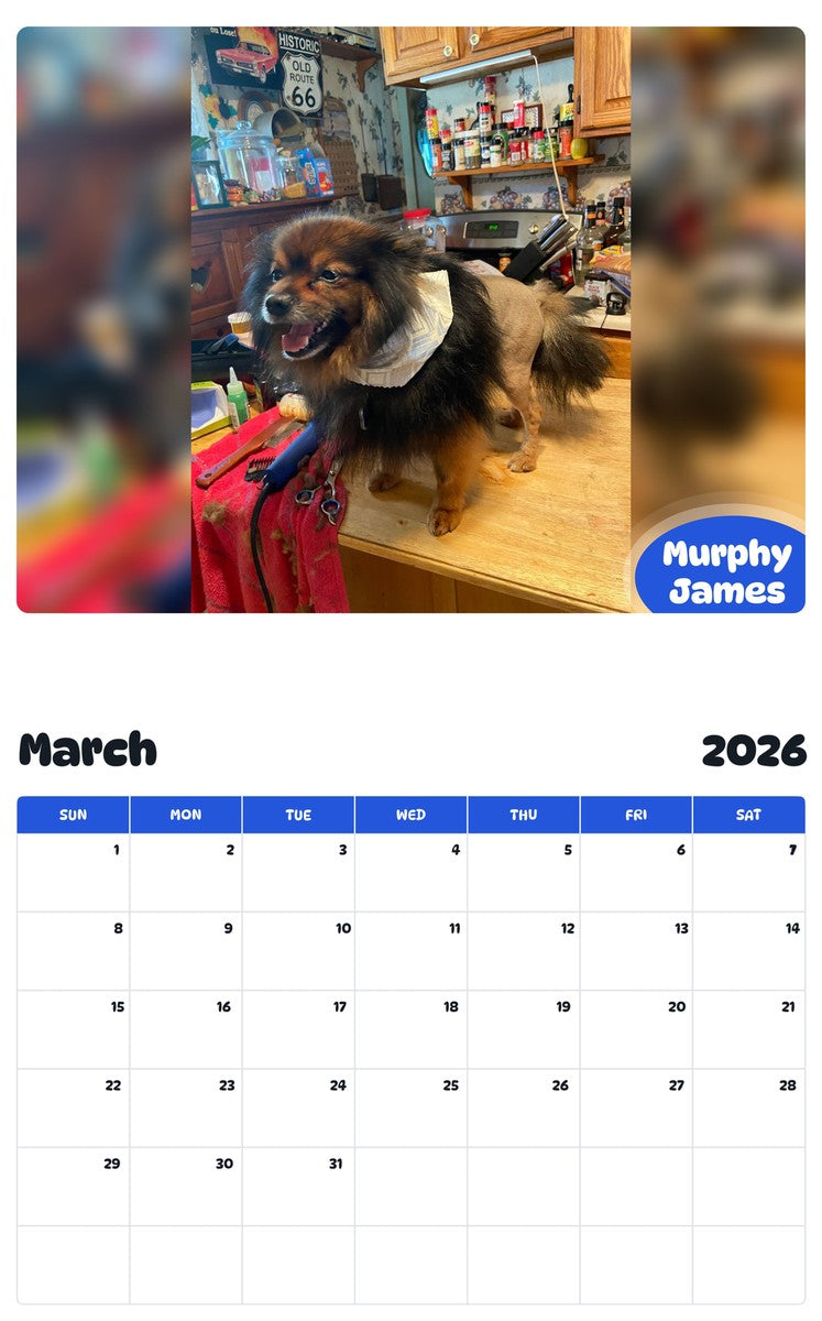 November 2025 - October 2026 Murphy James - Pawidols Pet Calendar