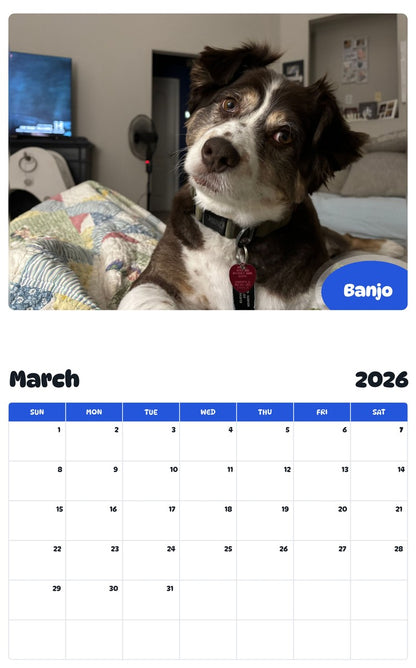 November 2025 - October 2026 Banjo - Pawidols Pet Calendar