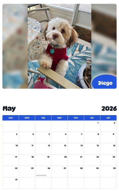 2026 - 2027 Diego - Pawidols Pet Calendar