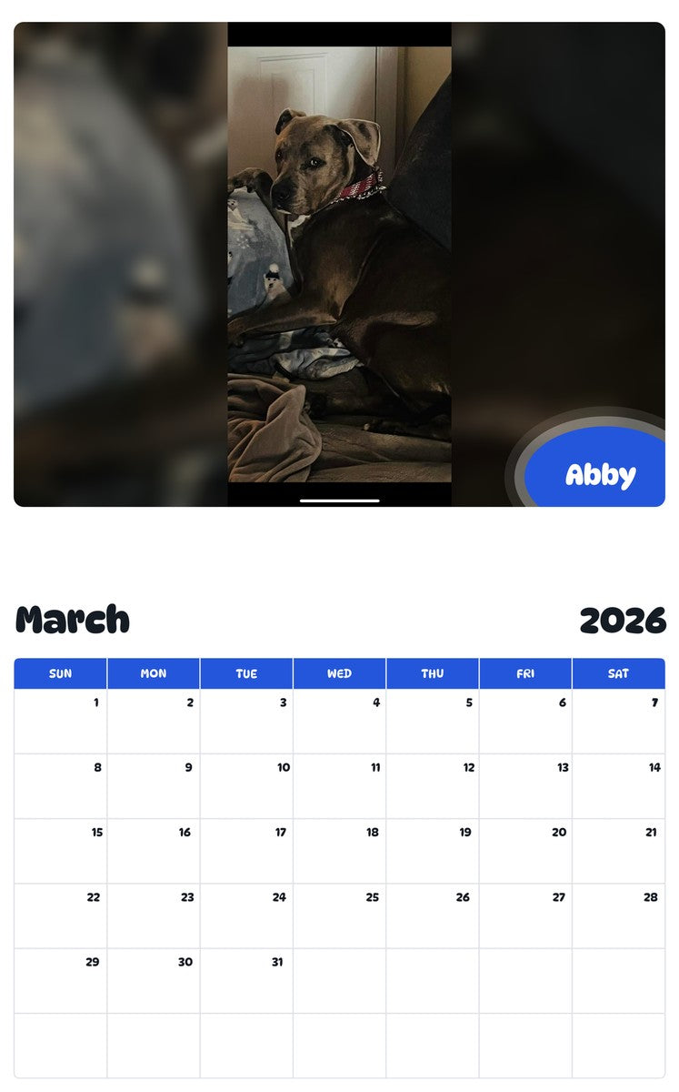 November 2025 - October 2026 Abby - Pawidols Pet Calendar