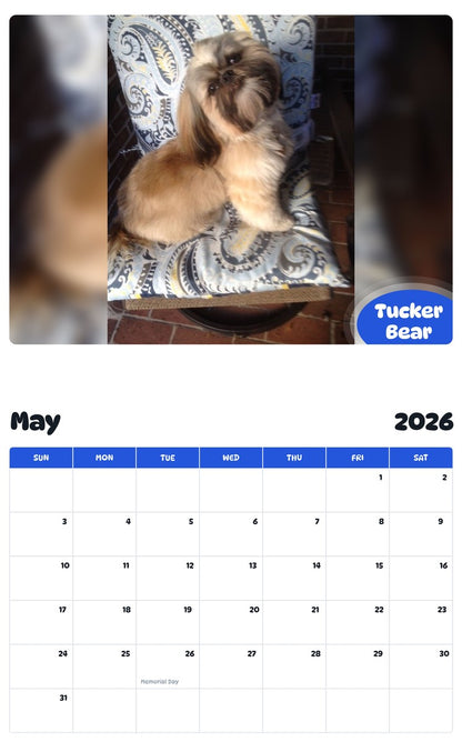 2026 - 2027 Tucker Bear - Pawidols Pet Calendar
