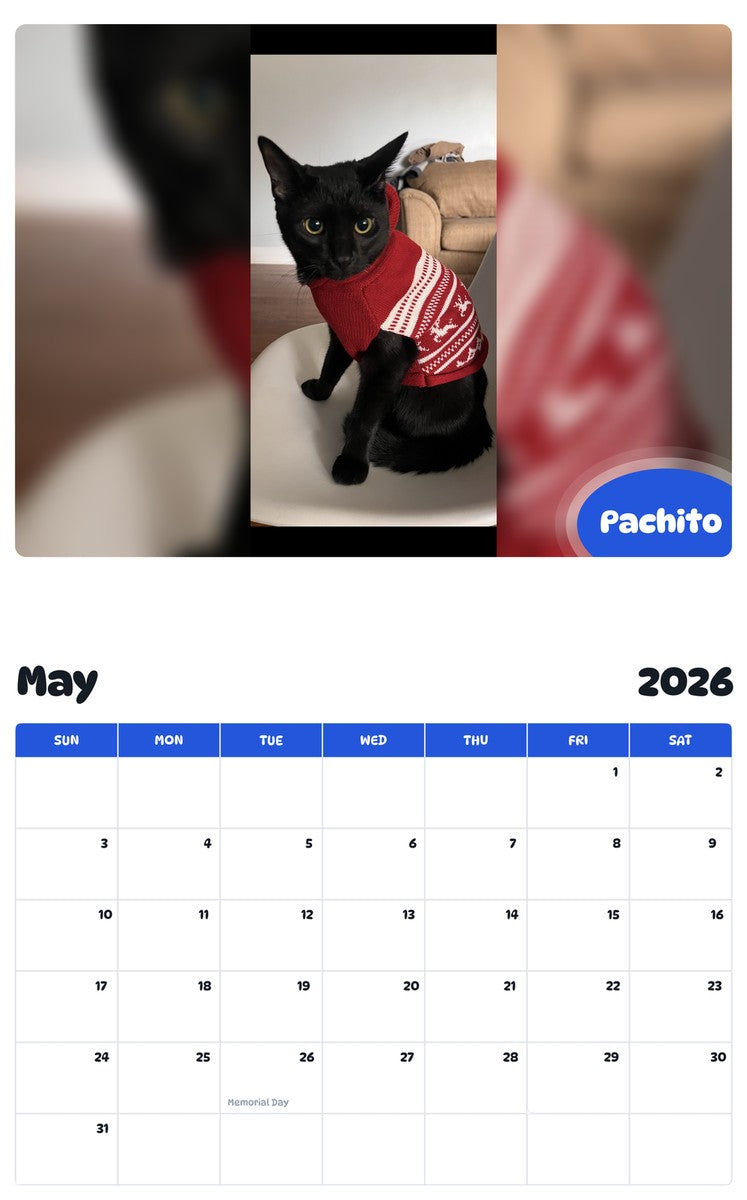 2026 - 2027 Pachito - Pawidols Pet Calendar