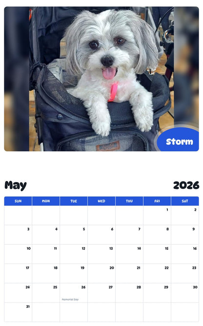 2026 - 2027 Storm - Pawidols Pet Calendar