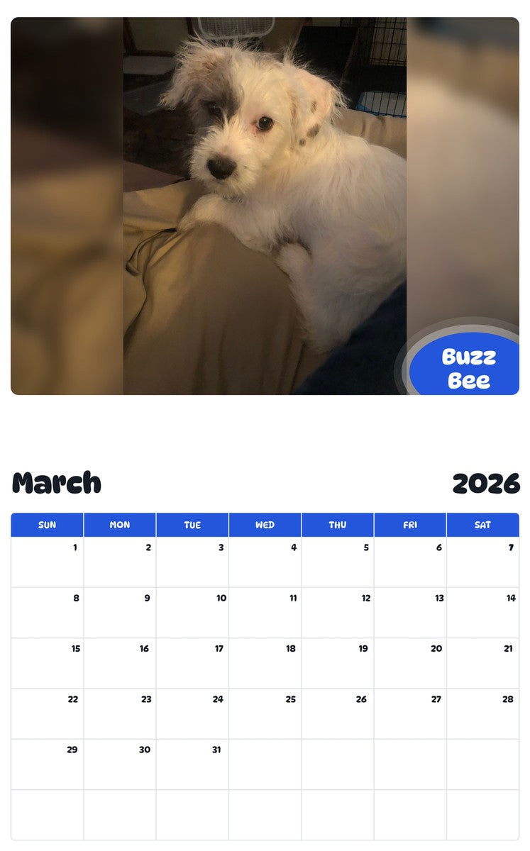 November 2025 - October 2026 Buzz Bee - Pawidols Pet Calendar