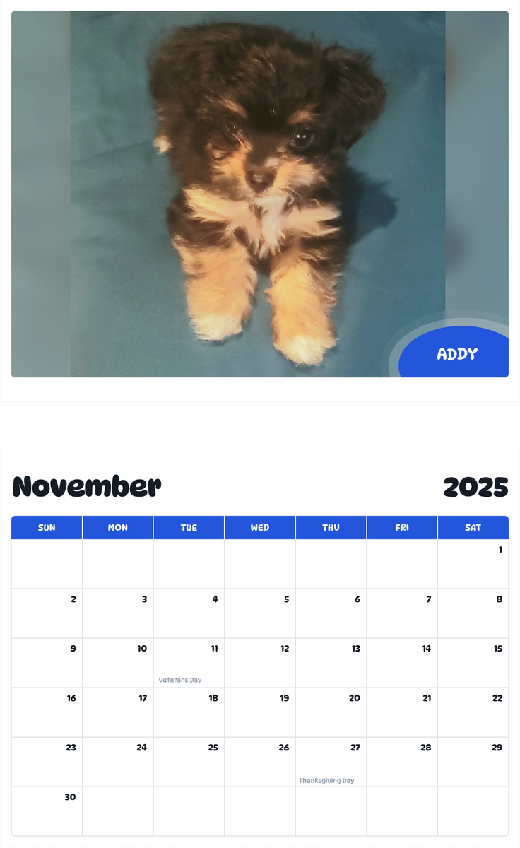 July 2025 - June 2026 Addy - Pawidols Pet Calendar