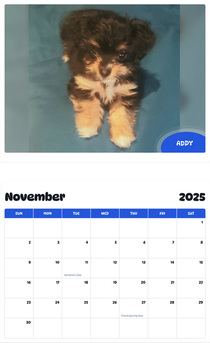 July 2025 - June 2026 Addy - Pawidols Pet Calendar