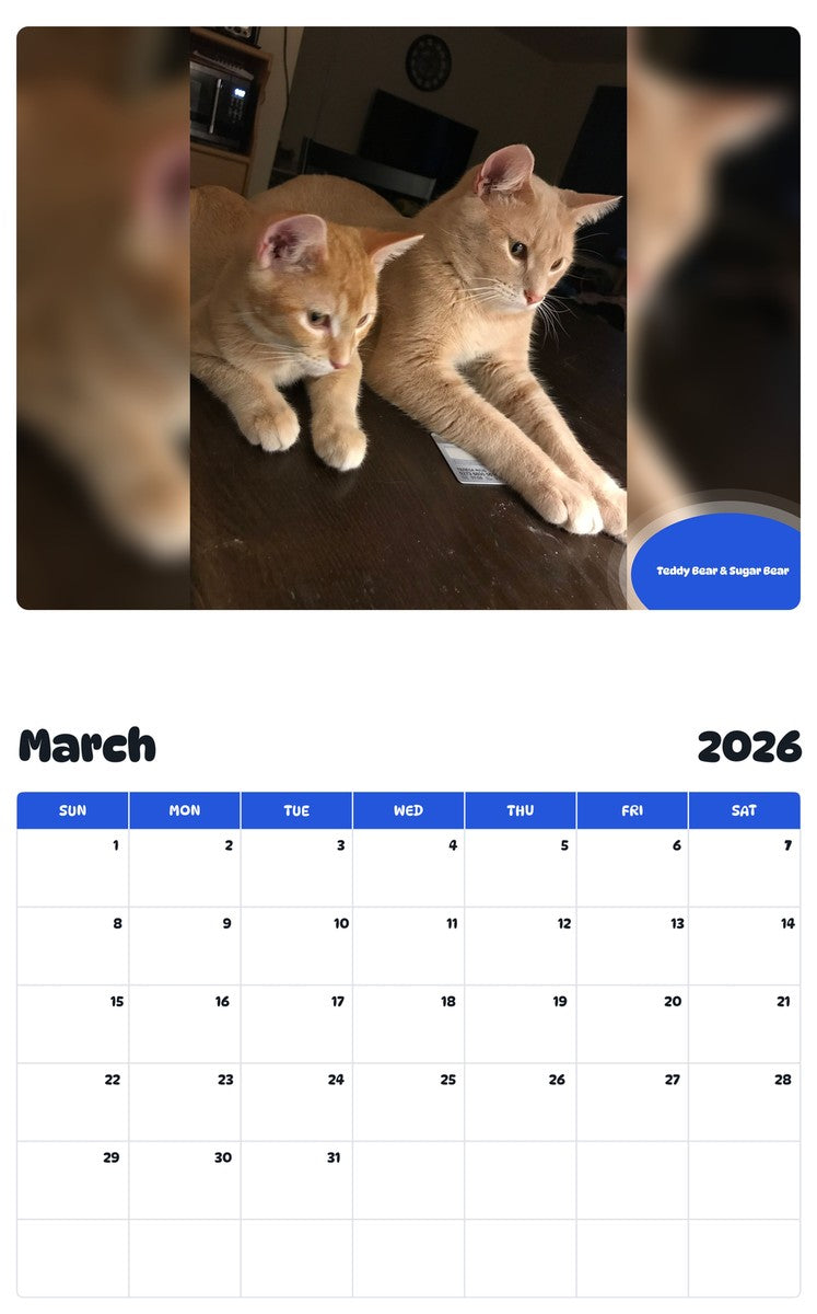 November 2025 - October 2026 Teddy Bear & Sugar Bear - Pawidols Pet Calendar