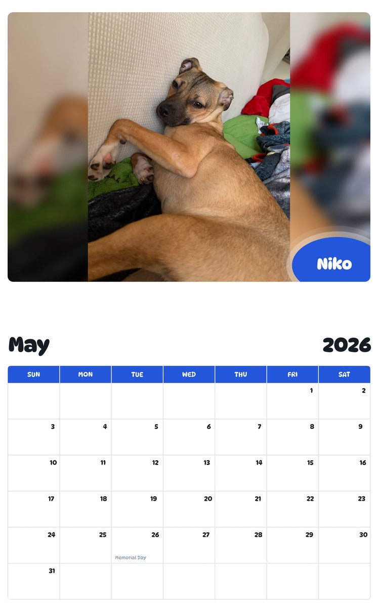 2026 - 2027 Niko - Pawidols Pet Calendar