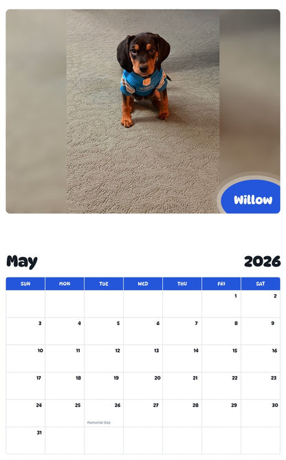 2026 - 2027 Willow - Pawidols Pet Calendar