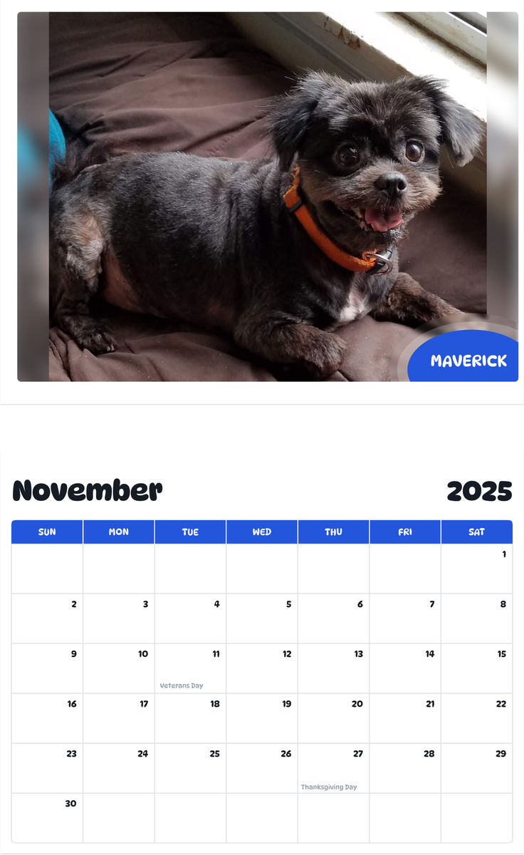 July 2025 - June 2026 Maverick - Pawidols Pet Calendar