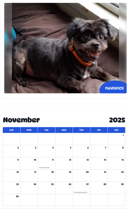 July 2025 - June 2026 Maverick - Pawidols Pet Calendar