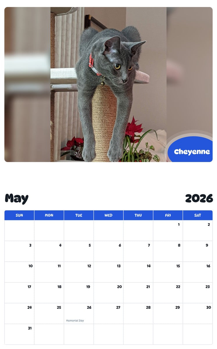 2026 - 2027 Cheyenne - Pawidols Pet Calendar