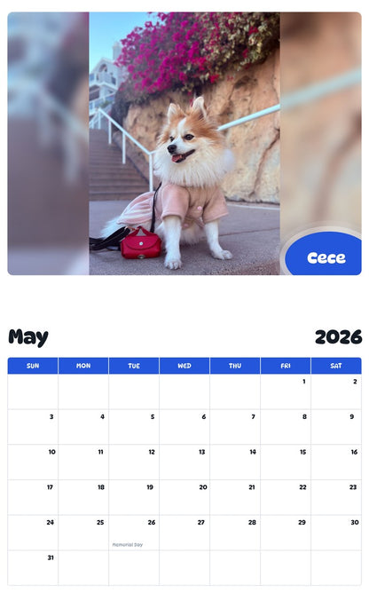 2026 - 2027 Cece - Pawidols Pet Calendar
