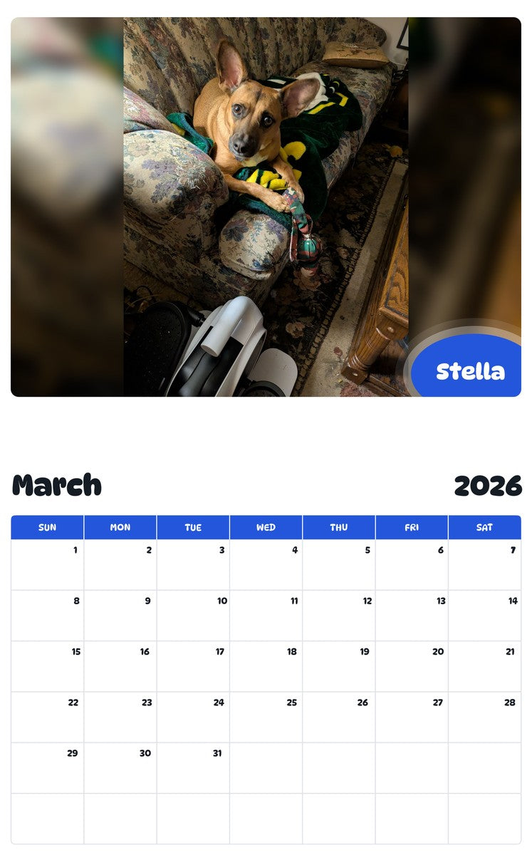 November 2025 - October 2026 Stella - Pawidols Pet Calendar