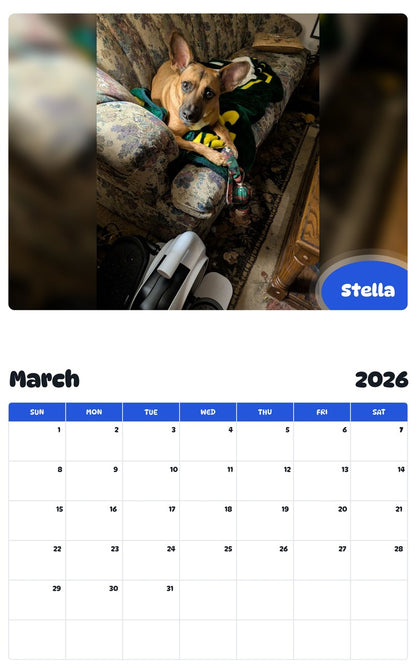 November 2025 - October 2026 Stella - Pawidols Pet Calendar