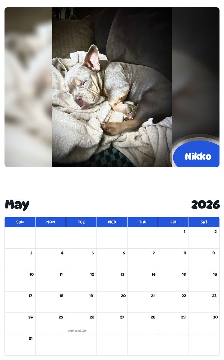 2026 - 2027 Nikko - Pawidols Pet Calendar