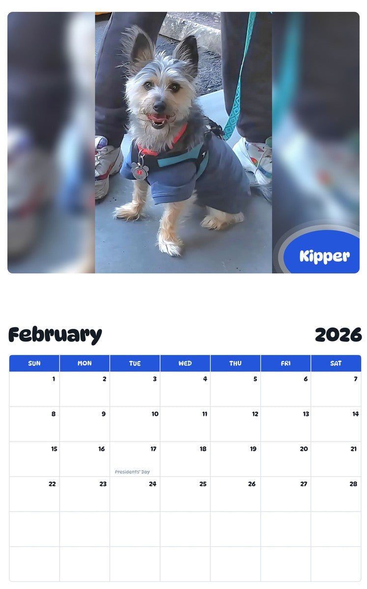 October 2025 - September 2026 Kipper - Pawidols Pet Calendar