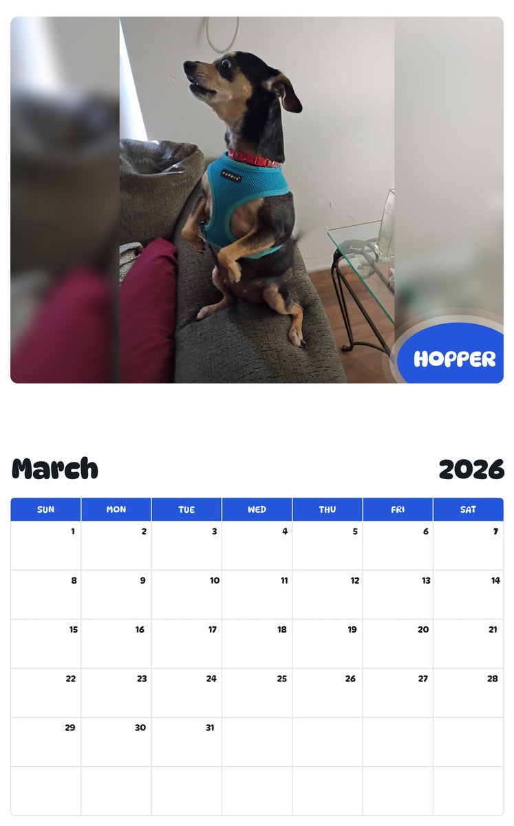 November 2025 - October 2026 HOPPER - Pawidols Pet Calendar