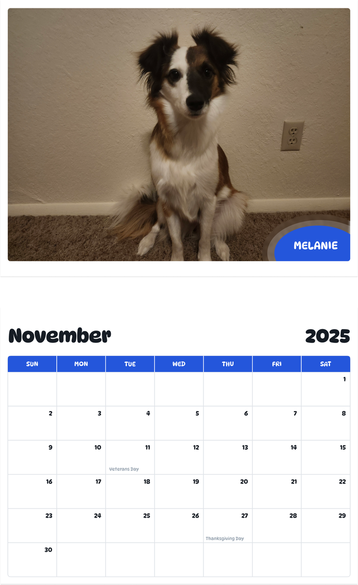 July 2025 - June 2026 Melanie - Pawidols Pet Calendar
