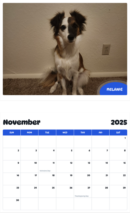July 2025 - June 2026 Melanie - Pawidols Pet Calendar