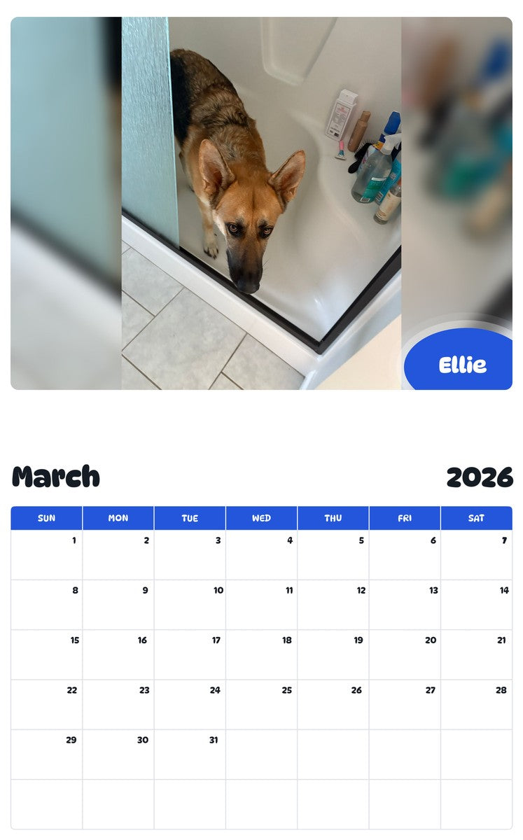 November 2025 - October 2026 Ellie - Pawidols Pet Calendar