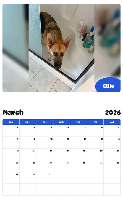 November 2025 - October 2026 Ellie - Pawidols Pet Calendar