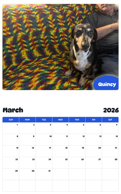 November 2025 - October 2026 Quincy - Pawidols Pet Calendar
