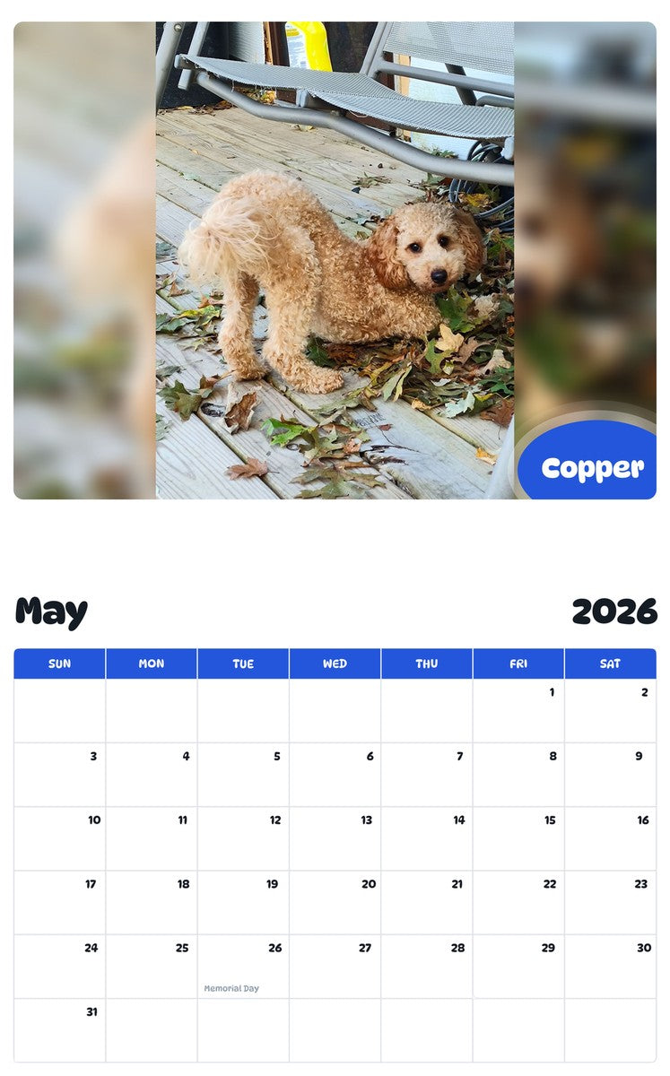 2026 - 2027 Copper - Pawidols Pet Calendar