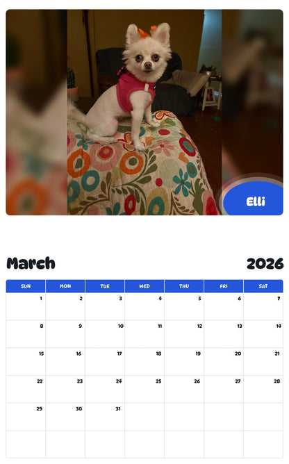 November 2025 - October 2026 Elli - Pawidols Pet Calendar