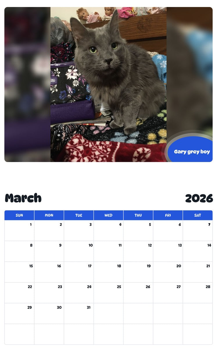 November 2025 - October 2026 Gary grey boy - Pawidols Pet Calendar