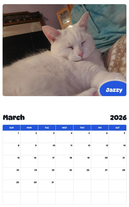 November 2025 - October 2026 Jazzy - Pawidols Pet Calendar