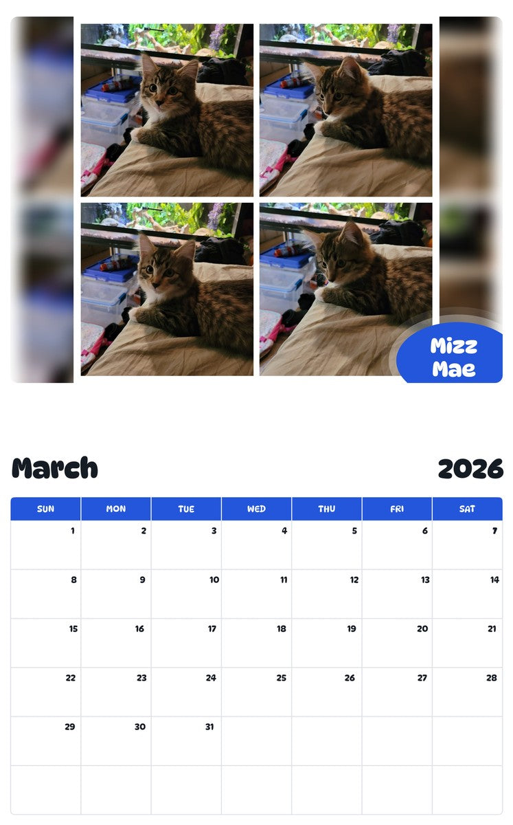 November 2025 - October 2026 Mizz Mae - Pawidols Pet Calendar