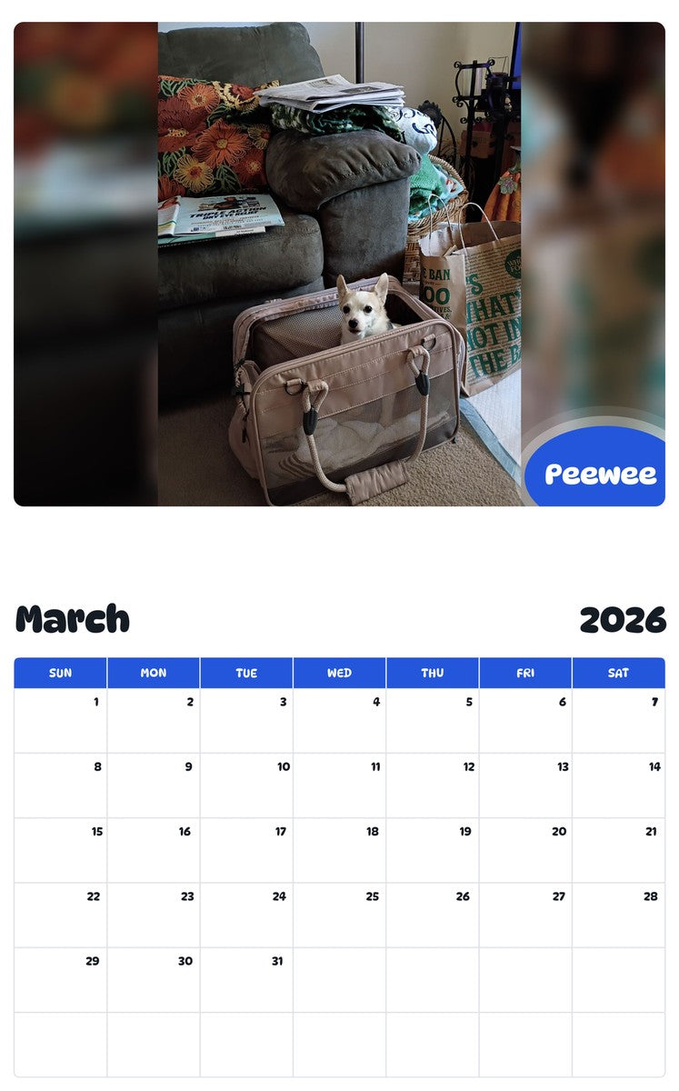 November 2025 - October 2026 Peewee - Pawidols Pet Calendar