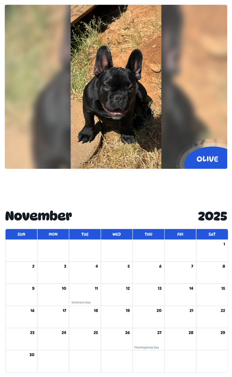 July 2025 - June 2026 Olive - Pawidols Pet Calendar