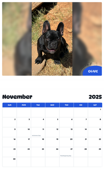 July 2025 - June 2026 Olive - Pawidols Pet Calendar