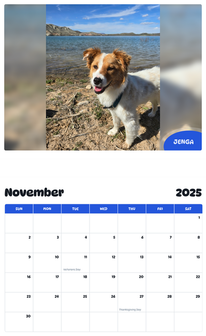 July 2025 - June 2026 Jenga - Pawidols Pet Calendar