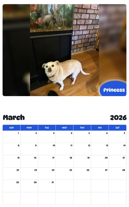 November 2025 - October 2026 Princess - Pawidols Pet Calendar