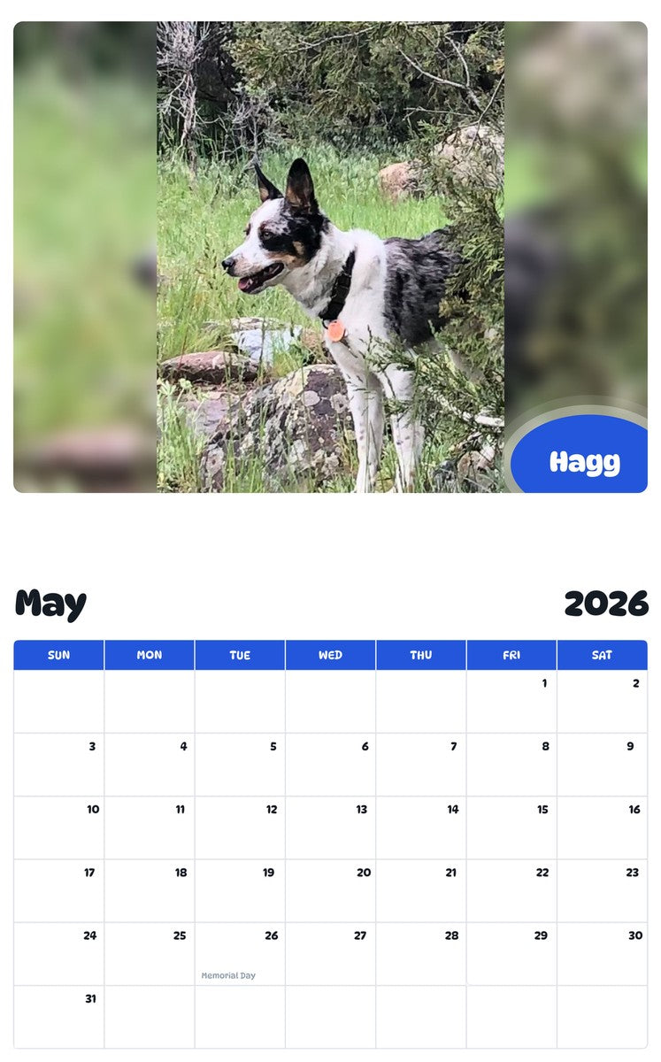 2026 - 2027 Hagg - Pawidols Pet Calendar