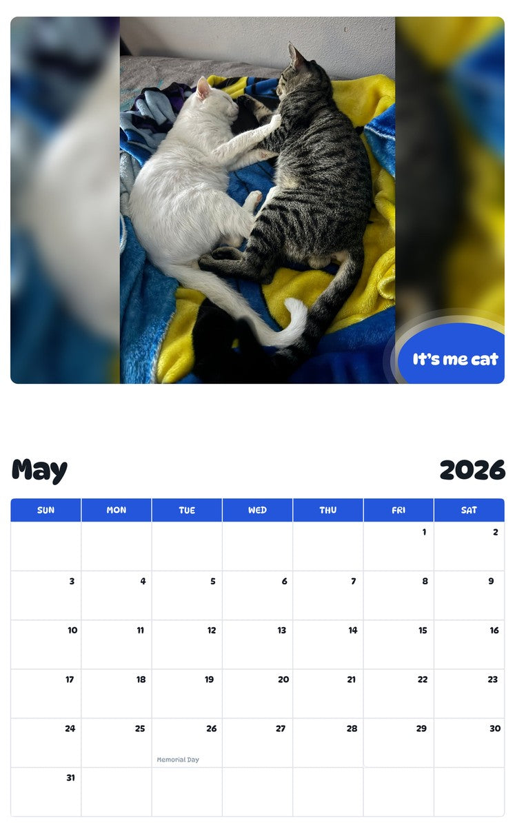 2026 - 2027 It’s me cat - Pawidols Pet Calendar