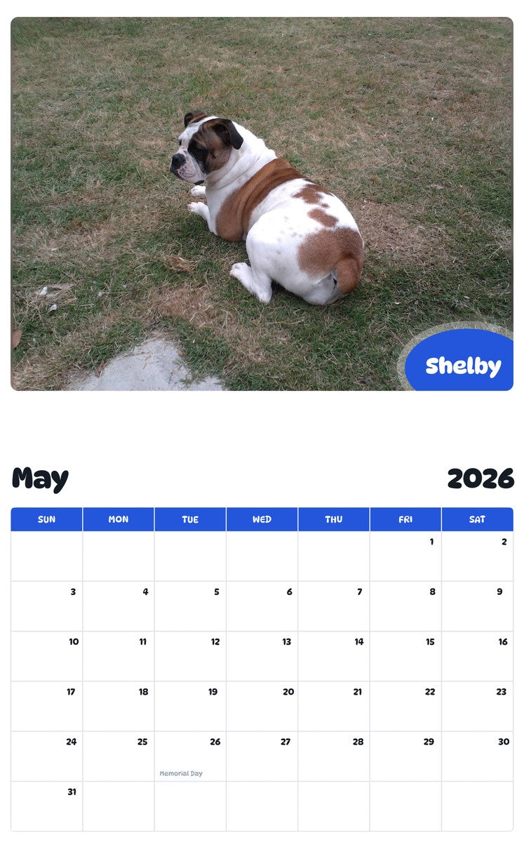 2026 - 2027 Shelby - Pawidols Pet Calendar