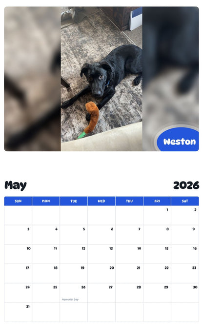 2026 - 2027 Weston - Pawidols Pet Calendar