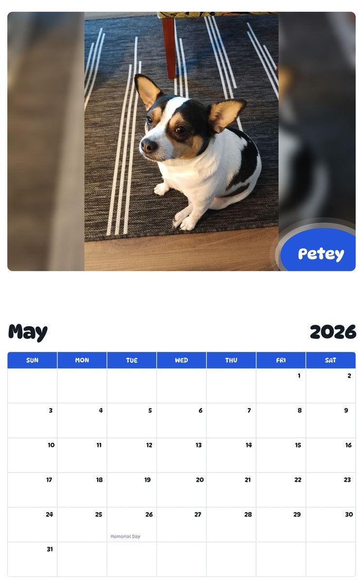 2026 - 2027 Petey - Pawidols Pet Calendar