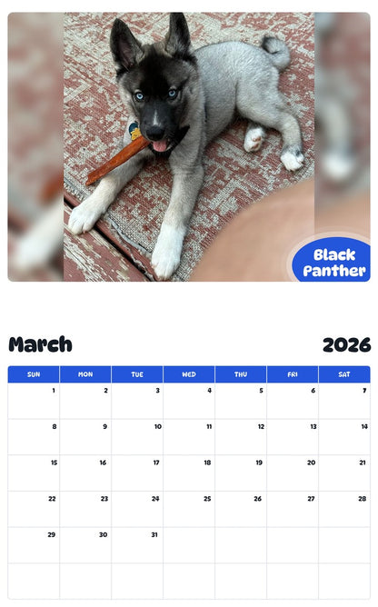 November 2025 - October 2026 Black Panther - Pawidols Pet Calendar