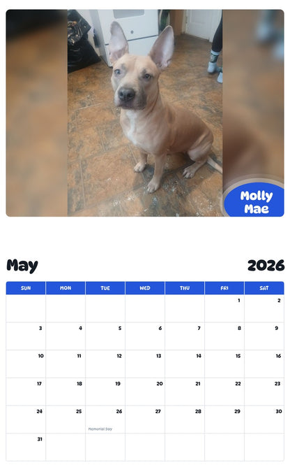 2026 - 2027 Molly Mae - Pawidols Pet Calendar