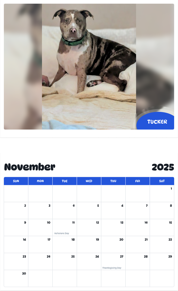 July 2025 - June 2026 Tucker - Pawidols Pet Calendar