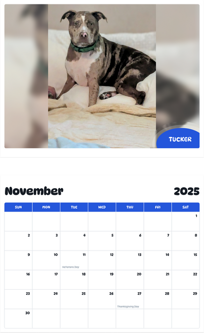 July 2025 - June 2026 Tucker - Pawidols Pet Calendar